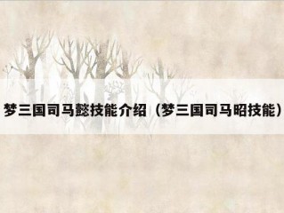 梦三国司马懿技能介绍（梦三国司马昭技能）