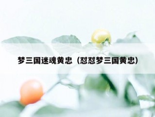 梦三国迷魂黄忠（怼怼梦三国黄忠）