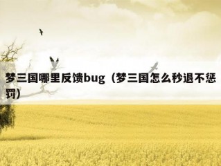 梦三国哪里反馈bug（梦三国怎么秒退不惩罚）