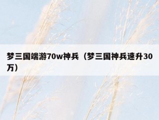 梦三国端游70w神兵（梦三国神兵速升30万）