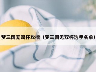 梦三国无双杯攻擂（梦三国无双杯选手名单）