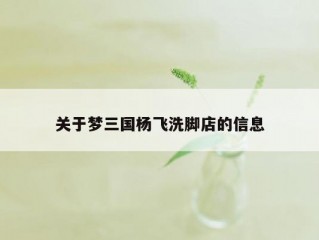 关于梦三国杨飞洗脚店的信息