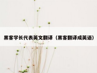 黑客学长代表英文翻译（黑客翻译成英语）