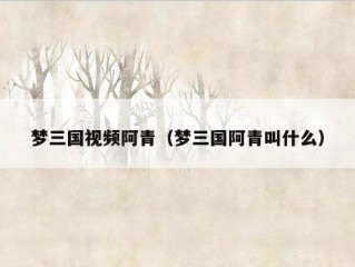 梦三国视频阿青（梦三国阿青叫什么）