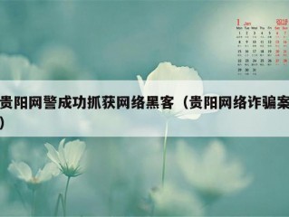 贵阳网警成功抓获网络黑客（贵阳网络诈骗案）