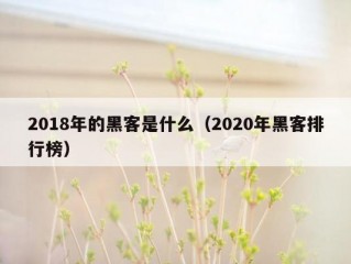 2018年的黑客是什么（2020年黑客排行榜）