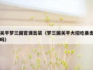 关平梦三国官渡出装（梦三国关平大招吃暴击吗）