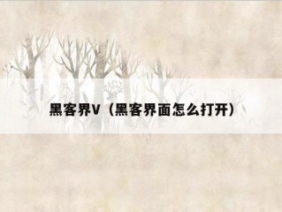 黑客界V（黑客界面怎么打开）