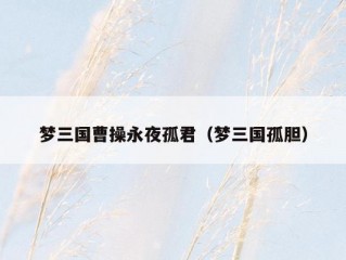梦三国曹操永夜孤君（梦三国孤胆）