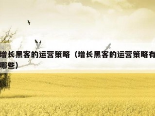 增长黑客的运营策略（增长黑客的运营策略有哪些）