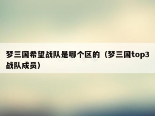 梦三国希望战队是哪个区的（梦三国top3战队成员）