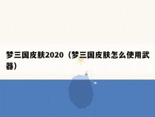 梦三国皮肤2020（梦三国皮肤怎么使用武器）