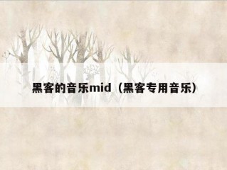 黑客的音乐mid（黑客专用音乐）