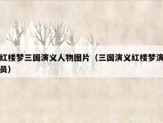 红楼梦三国演义人物图片（三国演义红楼梦演员）