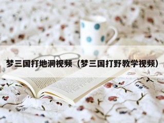 梦三国打地洞视频（梦三国打野教学视频）