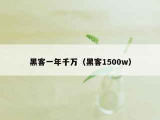 黑客一年千万（黑客1500w）