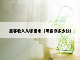 黑客收入从哪里来（黑客挣多少钱）