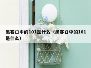 黑客口中的101是什么（黑客口中的101是什么）