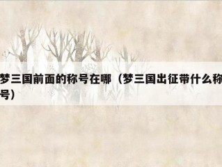 梦三国前面的称号在哪（梦三国出征带什么称号）