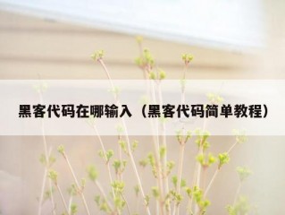 黑客代码在哪输入（黑客代码简单教程）