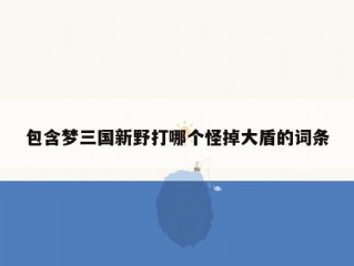 包含梦三国新野打哪个怪掉大盾的词条