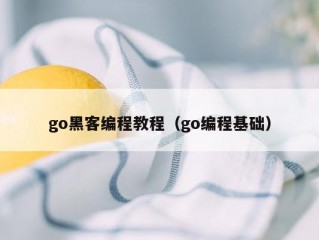 go黑客编程教程（go编程基础）