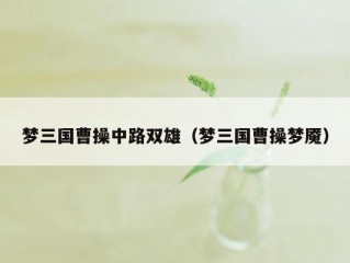 梦三国曹操中路双雄（梦三国曹操梦魇）