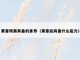 黑客所需具备的素养（黑客应具备什么能力）