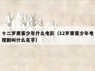 十二岁黑客少年什么电影（12岁黑客少年电视剧叫什么名字）