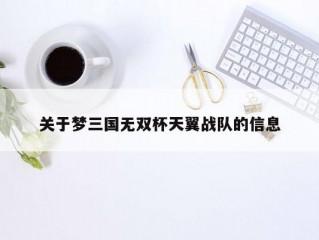 关于梦三国无双杯天翼战队的信息