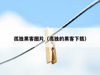 孤独黑客图片（孤独的黑客下载）
