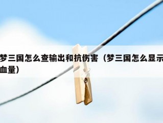 梦三国怎么查输出和抗伤害（梦三国怎么显示血量）