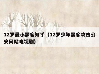 12岁最小黑客知乎（12岁少年黑客攻击公安网站电视剧）