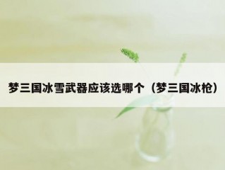 梦三国冰雪武器应该选哪个（梦三国冰枪）