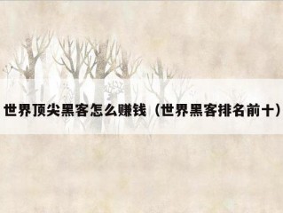 世界顶尖黑客怎么赚钱（世界黑客排名前十）