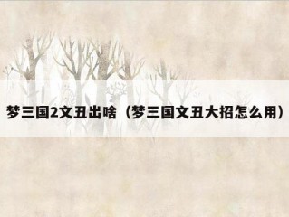 梦三国2文丑出啥（梦三国文丑大招怎么用）