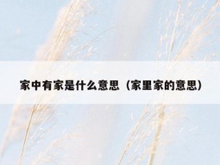 家中有家是什么意思（家里家的意思）