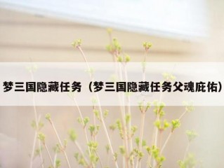 梦三国隐藏任务（梦三国隐藏任务父魂庇佑）