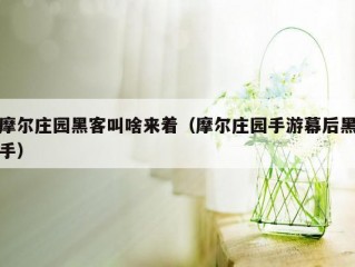 摩尔庄园黑客叫啥来着（摩尔庄园手游幕后黑手）