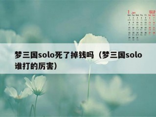 梦三国solo死了掉钱吗（梦三国solo谁打的厉害）