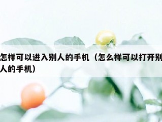 怎样可以进入别人的手机（怎么样可以打开别人的手机）