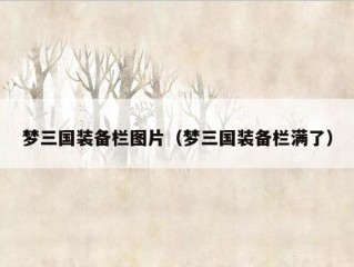 梦三国装备栏图片（梦三国装备栏满了）