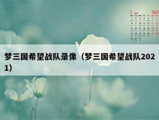 梦三国希望战队录像（梦三国希望战队2021）