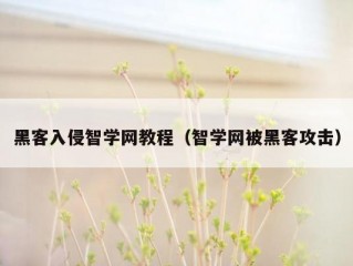 黑客入侵智学网教程（智学网被黑客攻击）