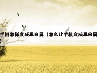 手机怎样变成黑白屏（怎么让手机变成黑白屏）