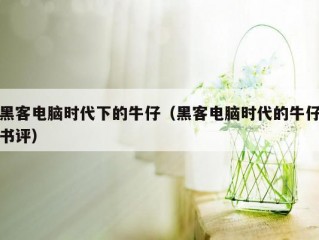 黑客电脑时代下的牛仔（黑客电脑时代的牛仔书评）