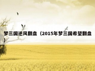 梦三国逆风翻盘（2015年梦三国希望翻盘）