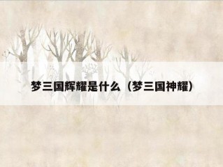 梦三国辉耀是什么（梦三国神耀）