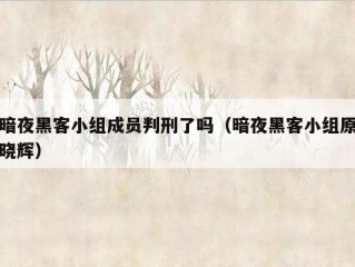 暗夜黑客小组成员判刑了吗（暗夜黑客小组原晓辉）