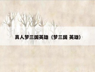 真人梦三国英雄（梦三国 英雄）